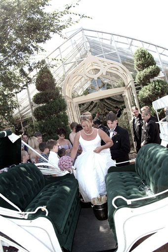Horse Drawn Carriage - The Conservatory Garden Wedding Venue, St. Louis, MO