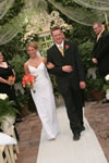 IMG 4591