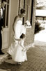 DSC 0260sp